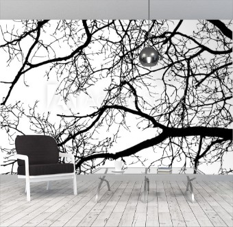 Picture of Tree Branches